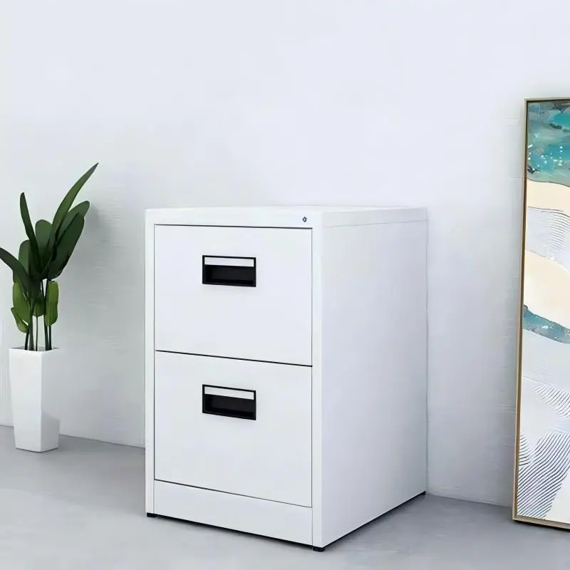2-Drawer Vertical Steel File Cabinet+Application 2-Drawer Vertical Steel File Cabinet+Application