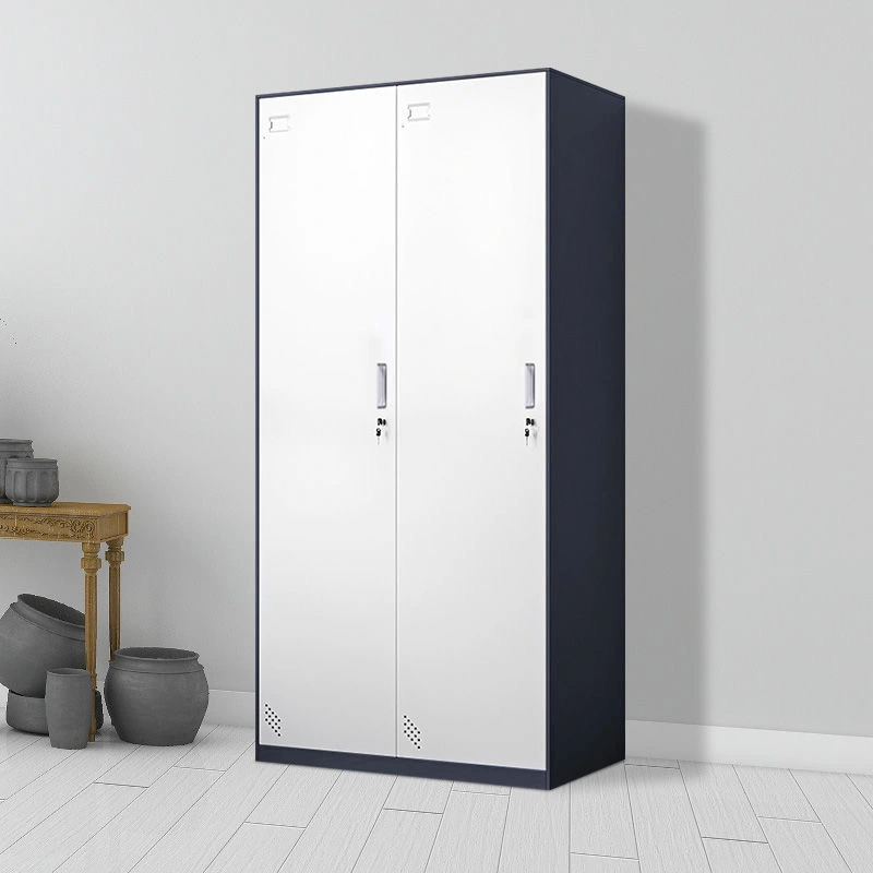 2 Door Steel Wardrobe+Application 2 Door Steel Wardrobe+Application