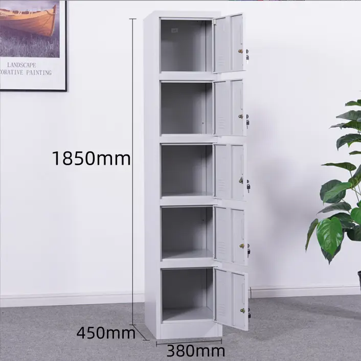 Single Column 5-door Steel locker+Application Single Column 5-door Steel locker+Application