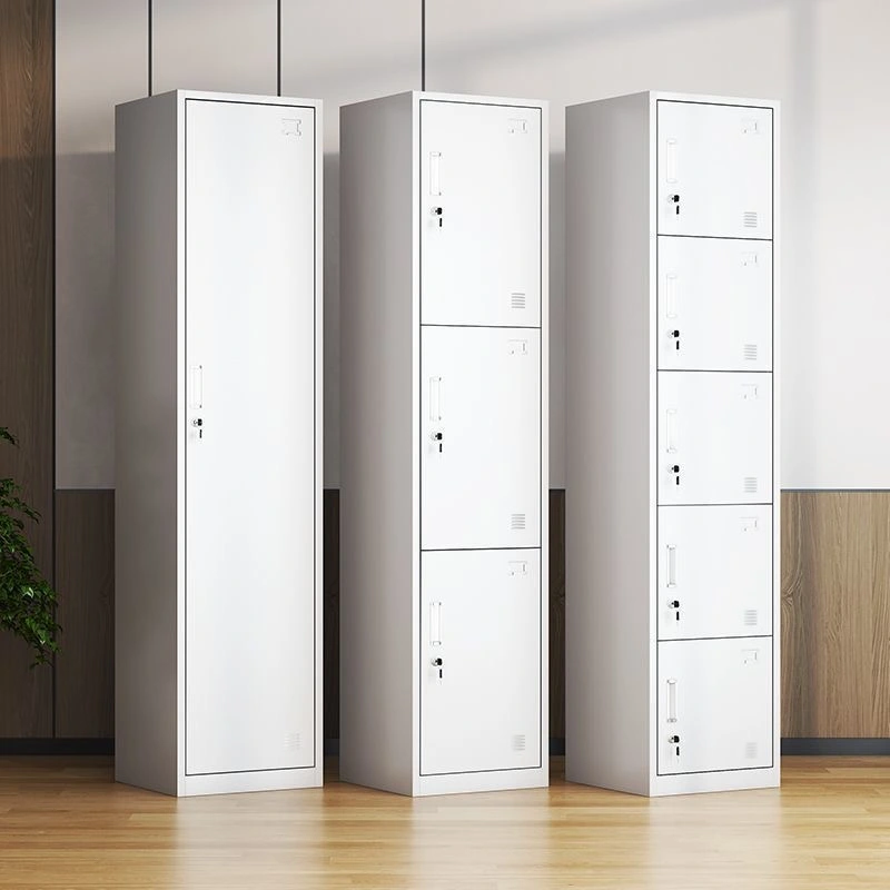 Single Column 1-Door Steel Locker+Application