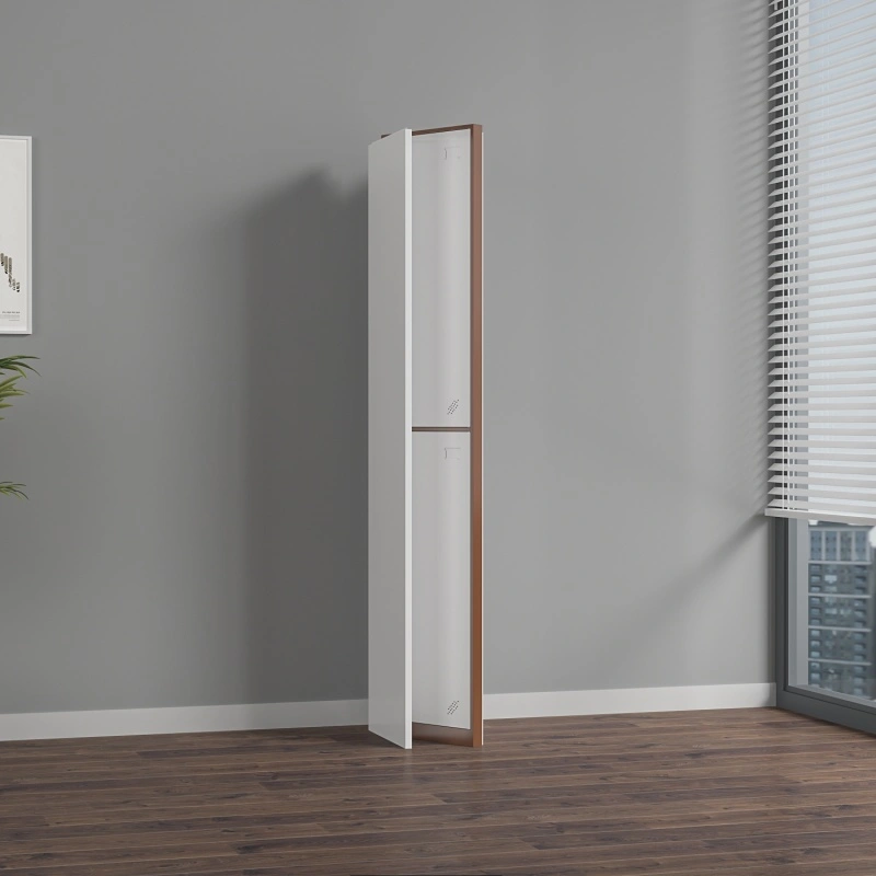 2 door metal locker+Application 2 door metal locker+Application