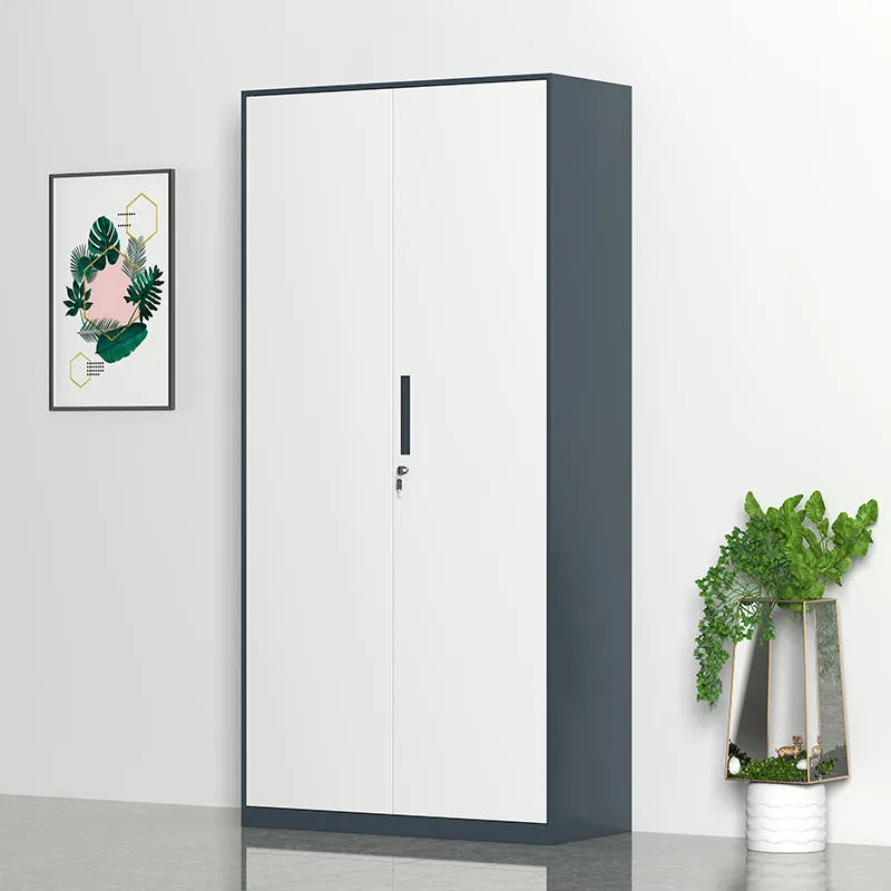 Steel Door File Cabinet+Application