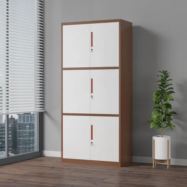 6-Door Steel Cabinet+Application