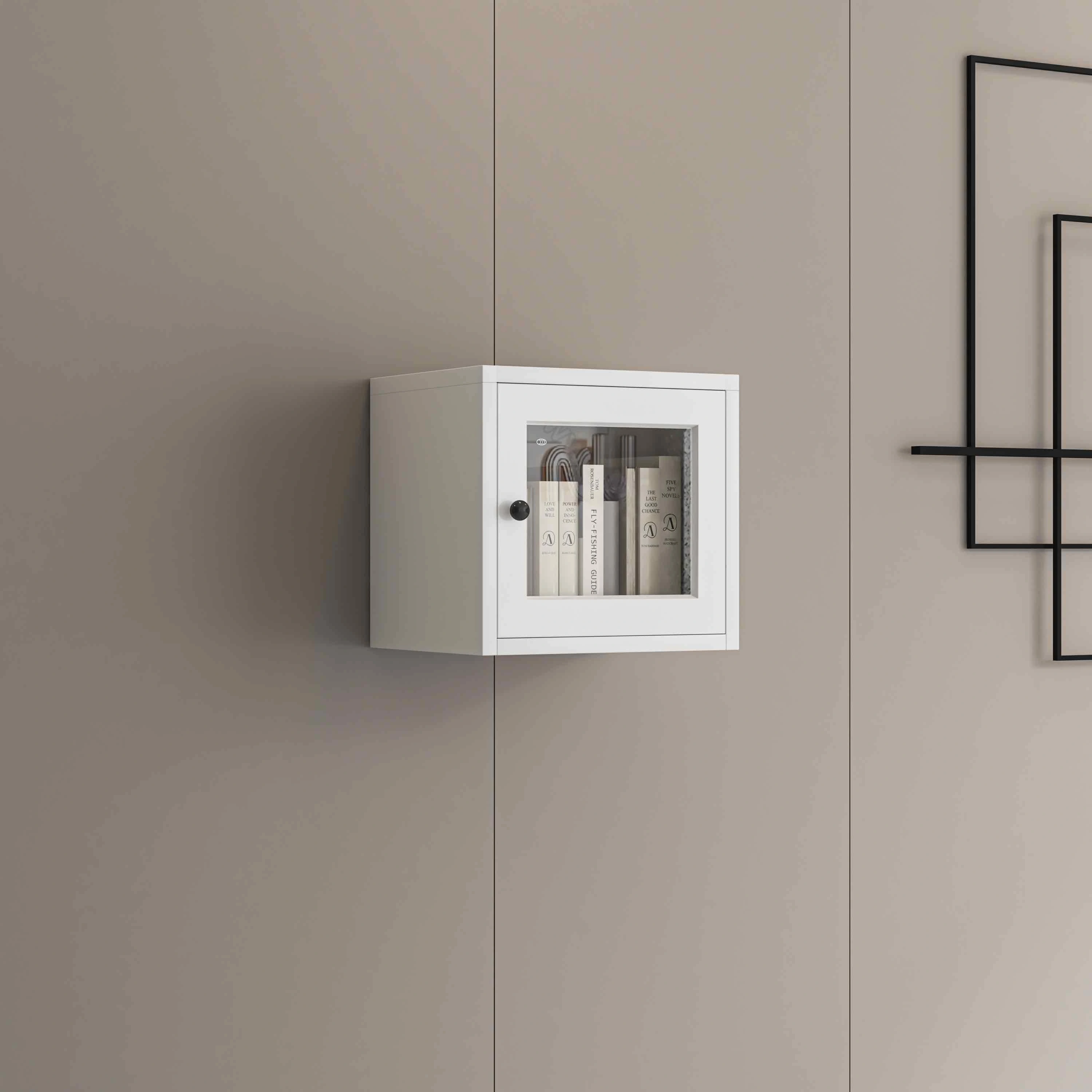 Single Door Glass Wall Cabinet
