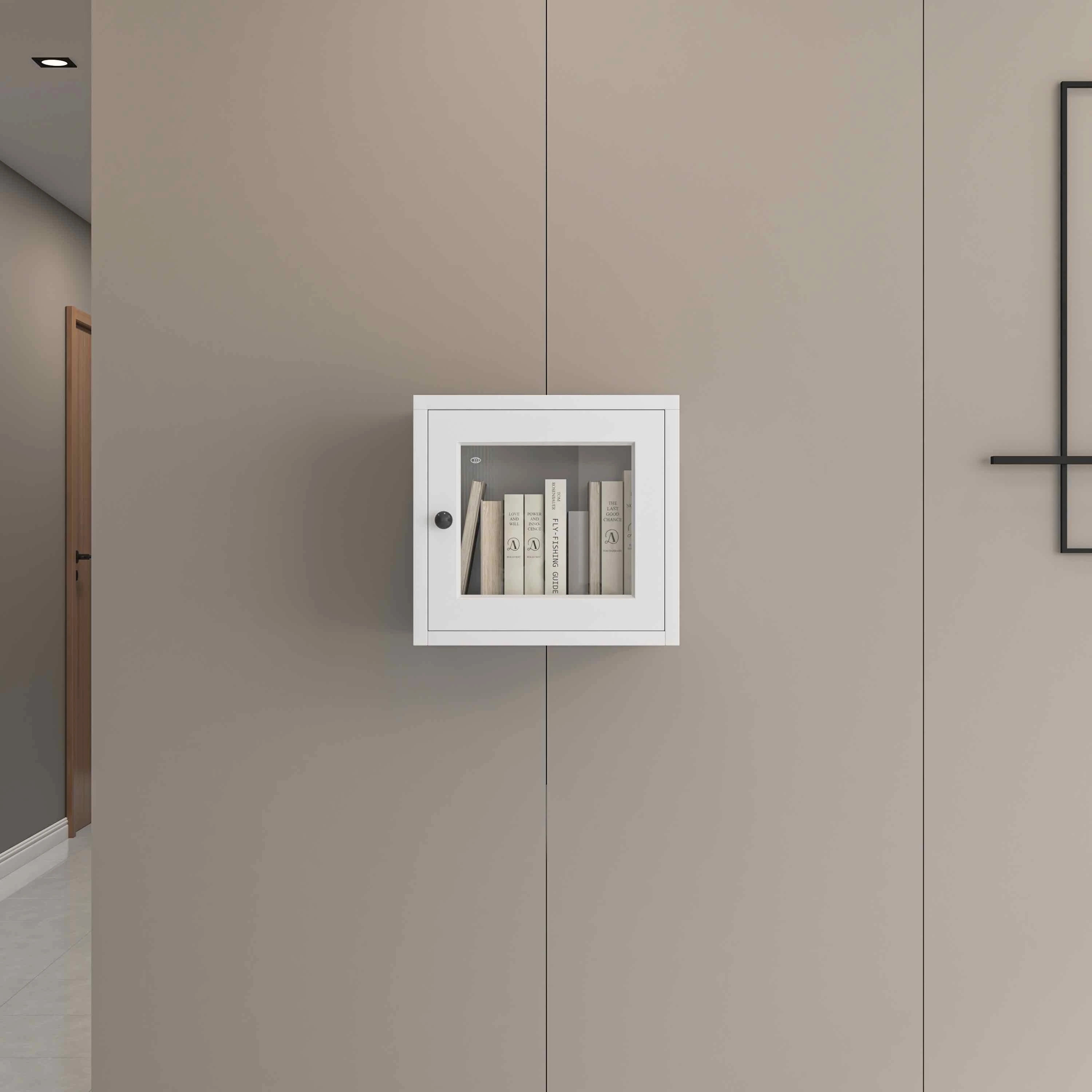Single Door Glass Wall Cabinet