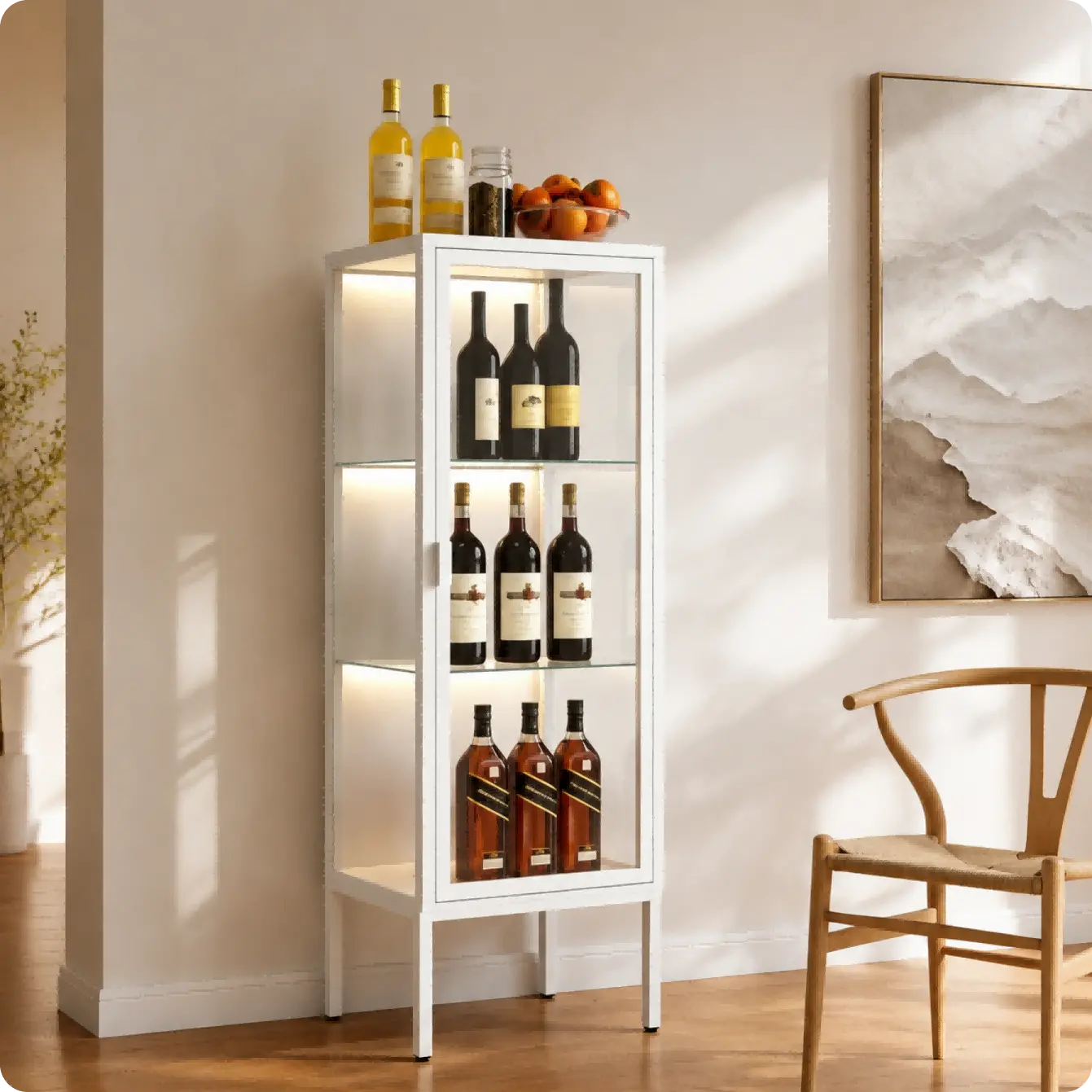 Single Door Glass Display Cabinet