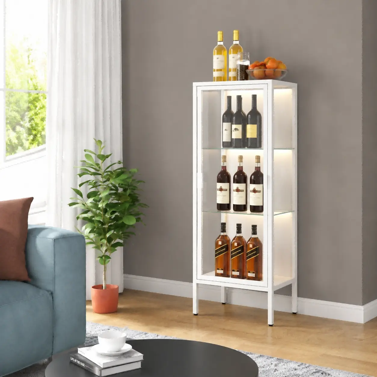 Single Door Glass Display Cabinet