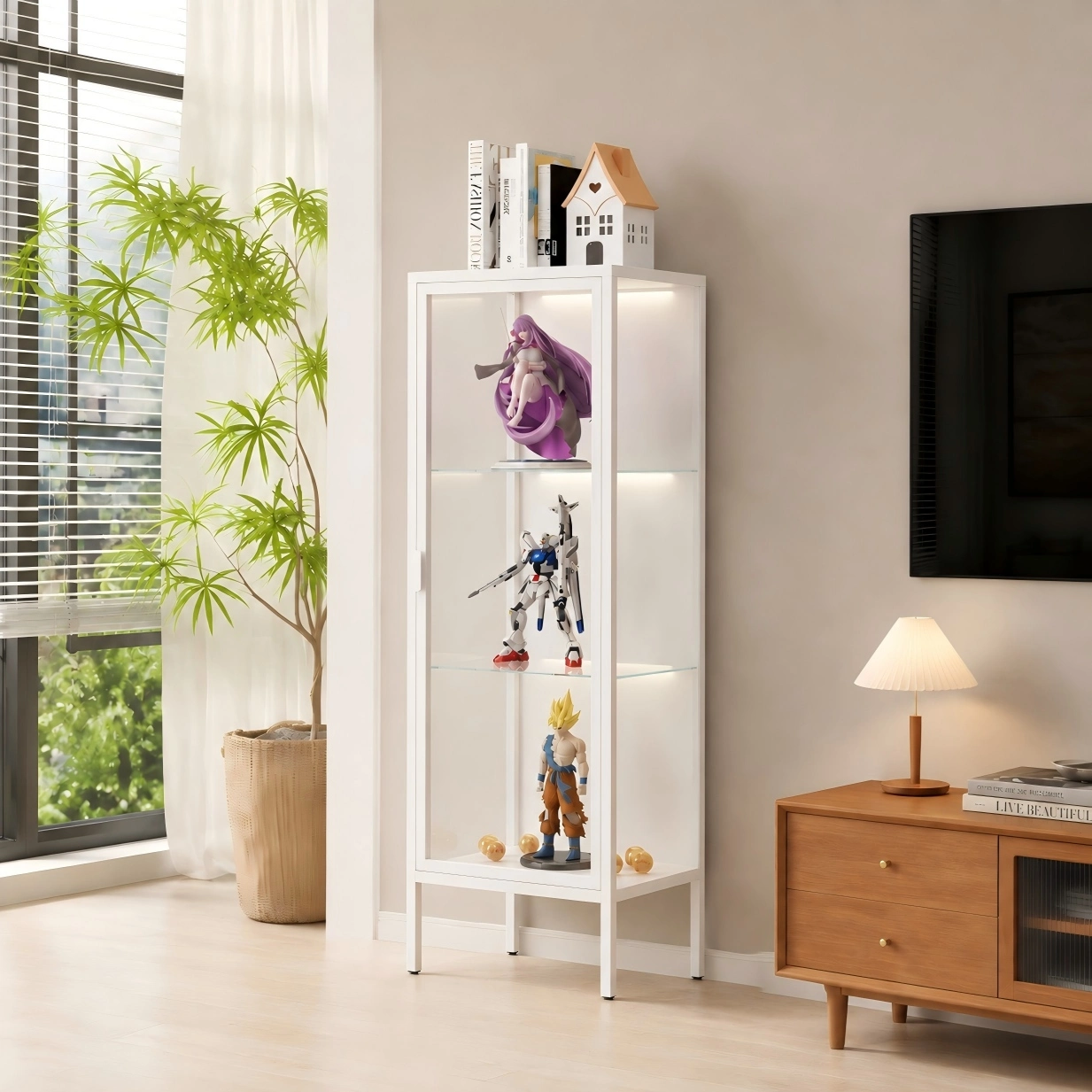 Single Door Glass Display Cabinet