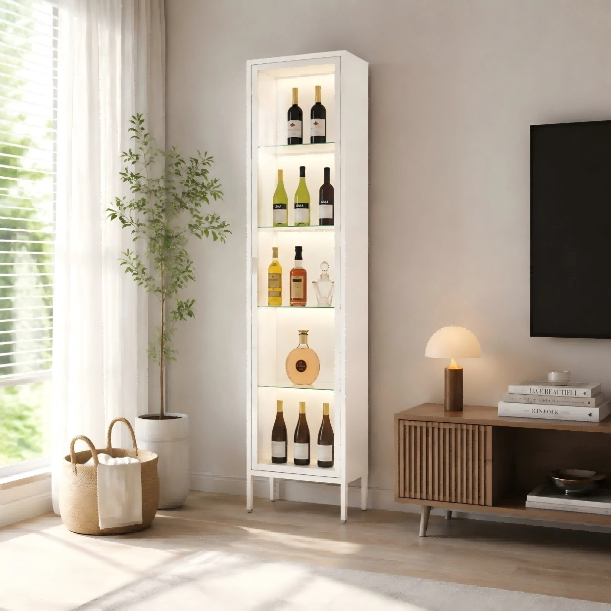 Tall Single Door Glass Display Cabinet