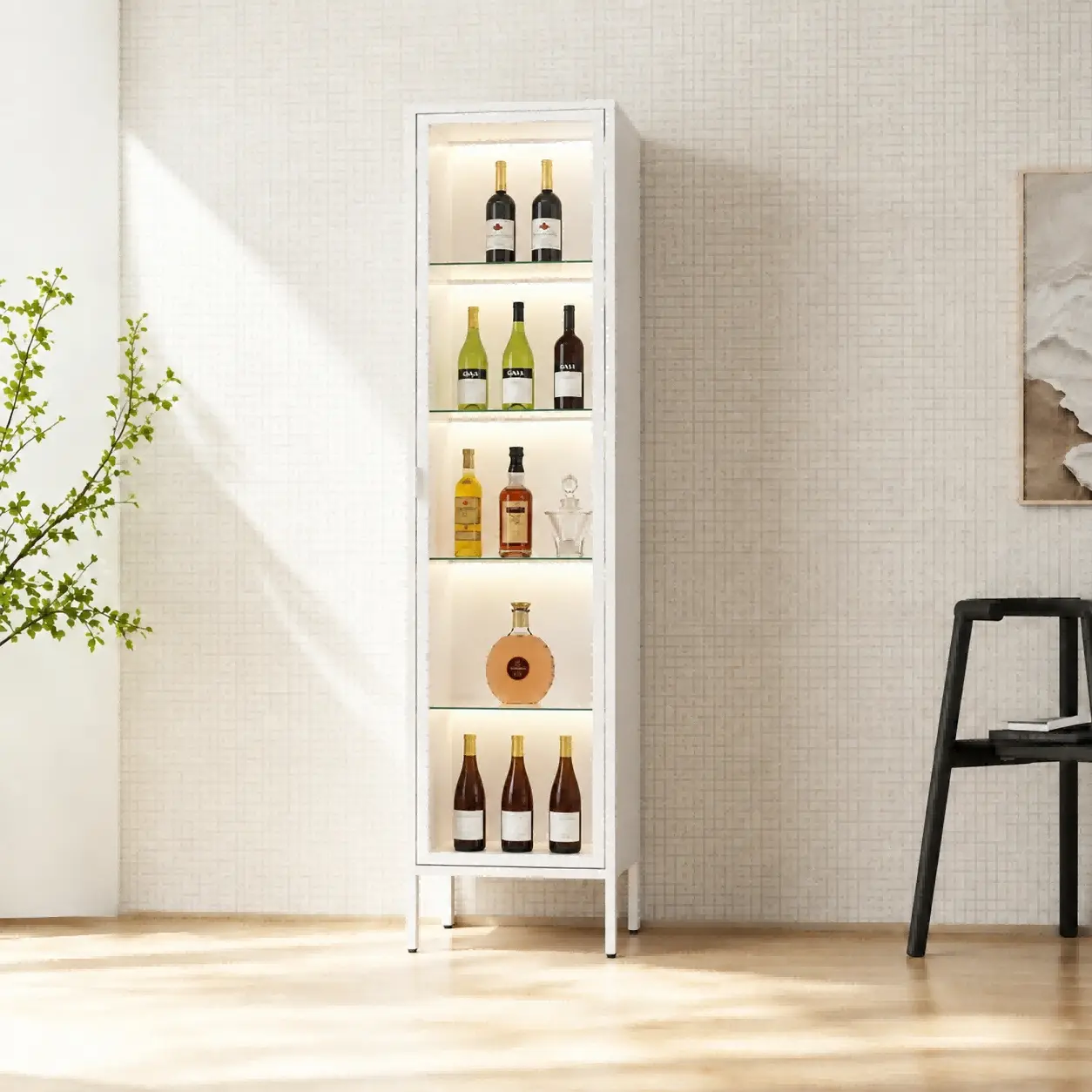 Tall Single Door Glass Display Cabinet