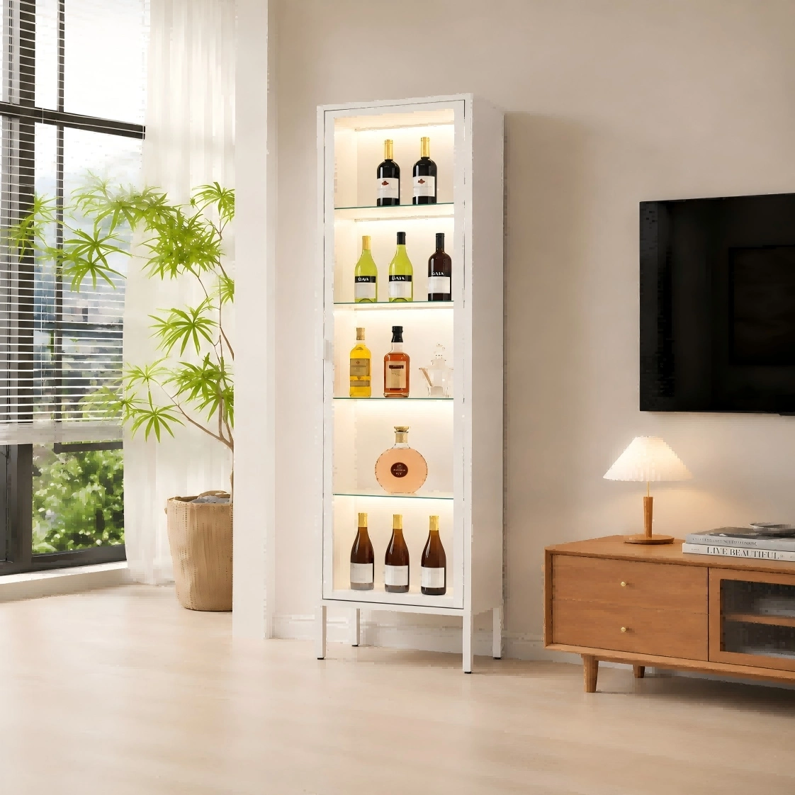 Tall Single Door Glass Display Cabinet